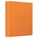 Pokémon Crystal Gathering Flareon Binder Gift Box thumbnail